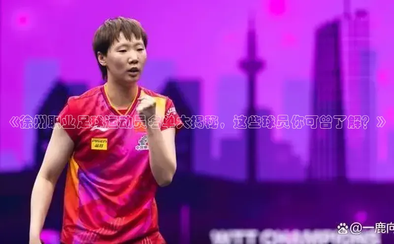 凯捷体育华扬联众