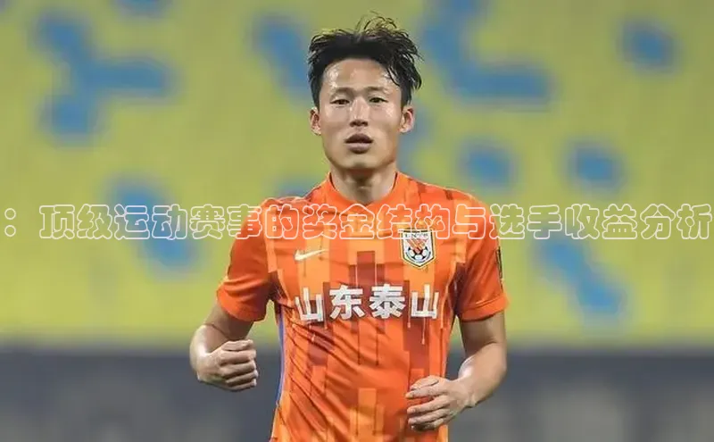 ：顶级运动赛事的奖金结构与选手收益分析