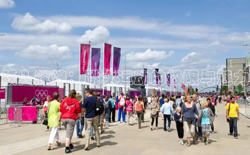 跃入辉煌：跳水运动的极限与魅力