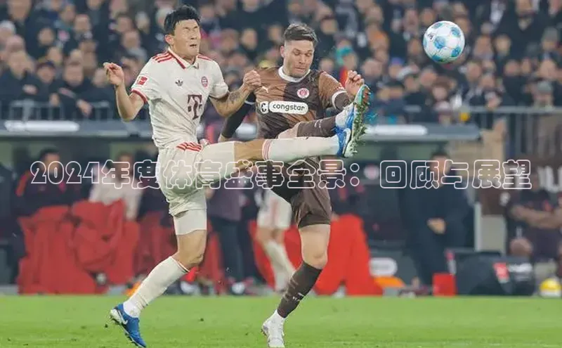 2024年度体育盛事全景：回顾与展望